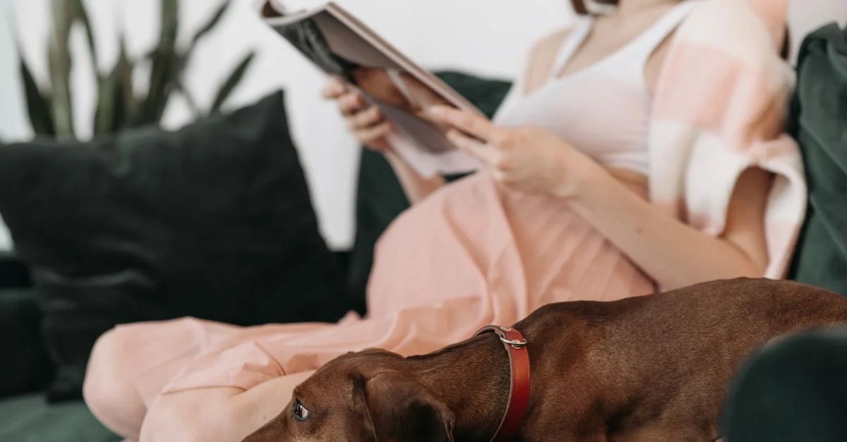 Mujer embarazada en un ambiente acogedor leyendo una revista con un perro dachshund en el sofá.
