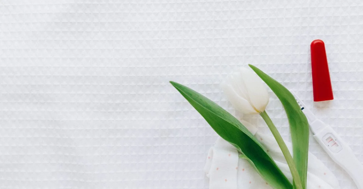 Vista plana de una prueba de embarazo positiva junto a un tulipán blanco sobre un fondo blanco texturizado.